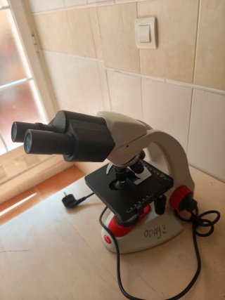 Microscopio Motic Binocular