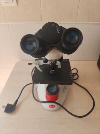 Microscopio Motic Binocular