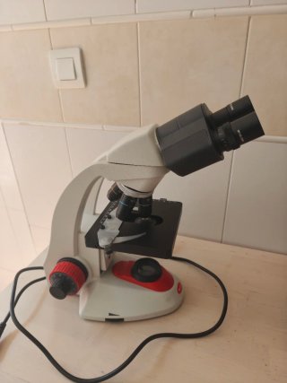 Microscopio Motic Binocular