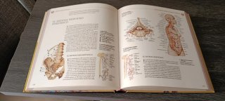 Atlas ilustrado de anatomía