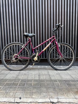 Bicicleta Montaña Clásica Cuadro Bajo Morada