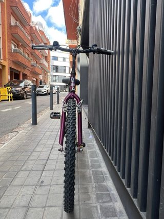 Bicicleta Montaña Clásica Cuadro Bajo Morada