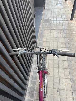 Bicicleta Montaña Clásica Cuadro Bajo Morada