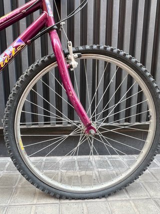 Bicicleta Montaña Clásica Cuadro Bajo Morada