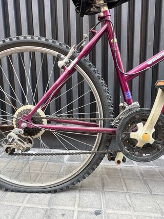 Bicicleta Montaña Clásica Cuadro Bajo Morada