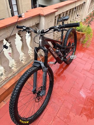 Specialized Stumpjumper EVO