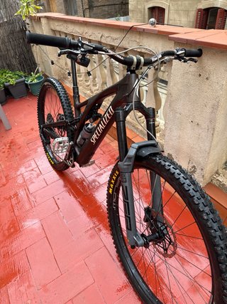 Specialized Stumpjumper EVO
