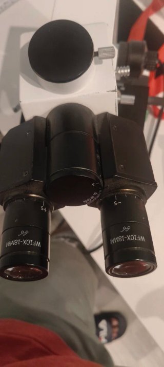 Microscopio Binocular Profesional CETI