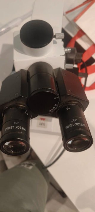 Microscopio Binocular Profesional CETI