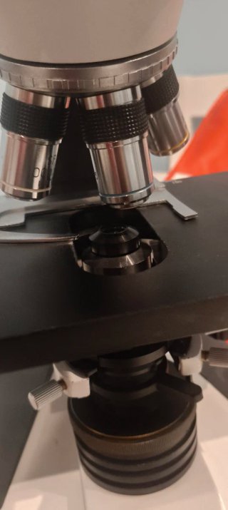 Microscopio Binocular Profesional CETI