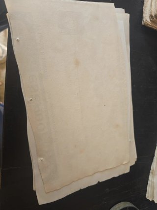 Papel del Estado