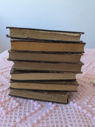 Raccolta di libri antichi del XIX secolo