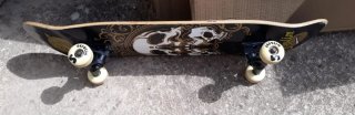 Skate SeFulim para adultos