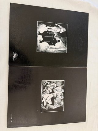 lote 2 comics adultos Georges Pichard