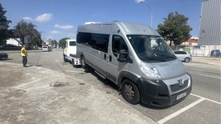 grua de palas