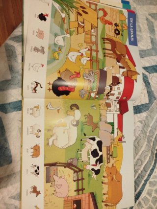 Precioso Libro educativo Ilustrado