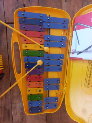 Lote instrumentos musicales infantiles Goki
