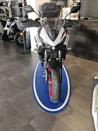 SUZUKI SV-7 GX 2026