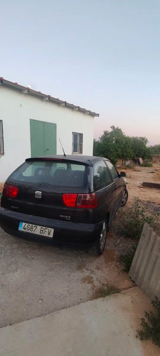 SEAT Ibiza 2002