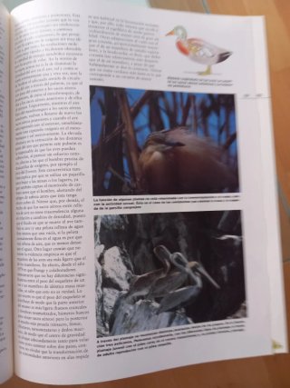 Enciclopedia de la Naturaleza y el Medio Ambiente