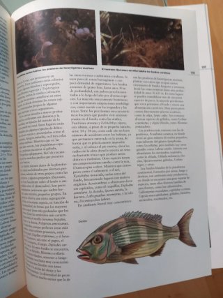 Enciclopedia de la Naturaleza y el Medio Ambiente