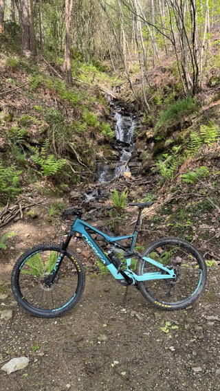 Orbea Rise M Team Carbono talla XL