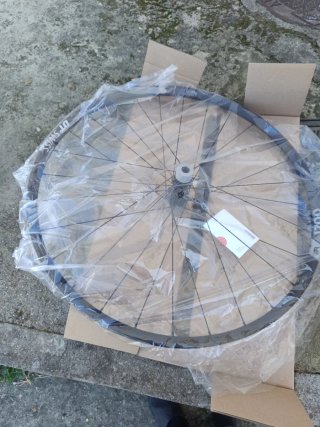 Llanta DT Swiss XR 1700 29 Trasera