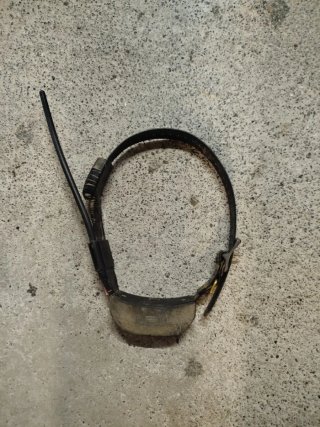 Collar GPS Spodog 1.5