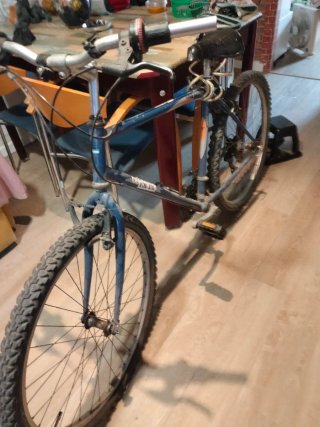 Bicicleta azul