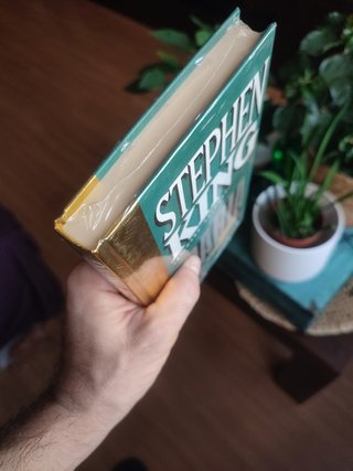PRECINTADO Rabia - Stephen King (Richard Bachman)