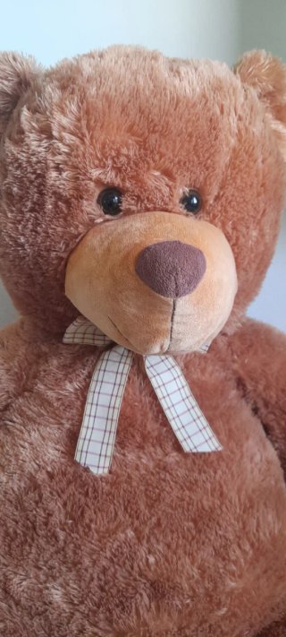 Orso Peluche Grande XXL Auchan