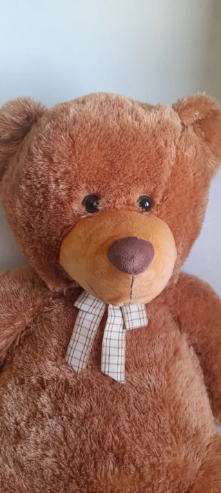 Orso Peluche Grande XXL Auchan