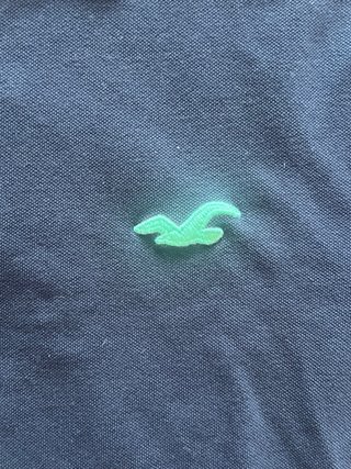 Polo Hollister Azul Marino y Verde