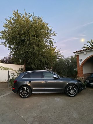 Audi SQ5 2017