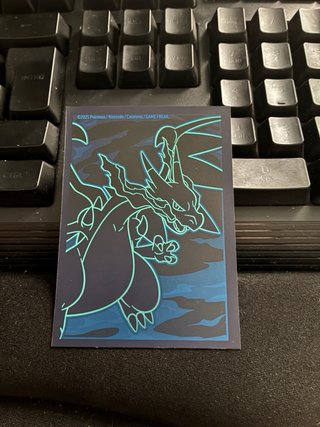 Lote Fundas Oficiales Pokémon TCG