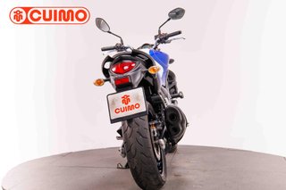 SUZUKI GLADIUS 650