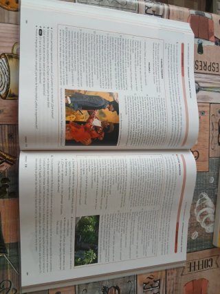 Lengua castellana y literatura 2, Le Bachillerato