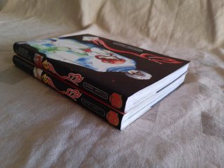 Tomos 1 y 2 Vampire Princess Miyu español 2001