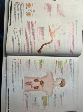 Biología y Geología 3º ESO. Libro del estudiant...