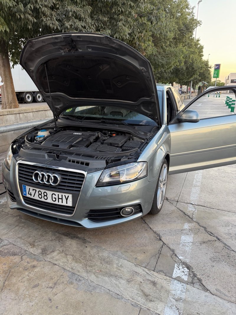 Audi A3 2008, foto 8