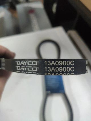 Correas de accesorios motor