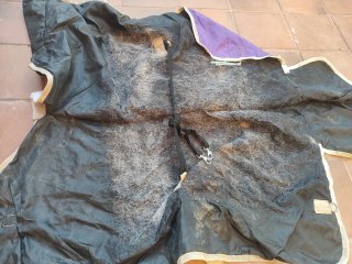 Manta caballo impermeable 115 unicornio