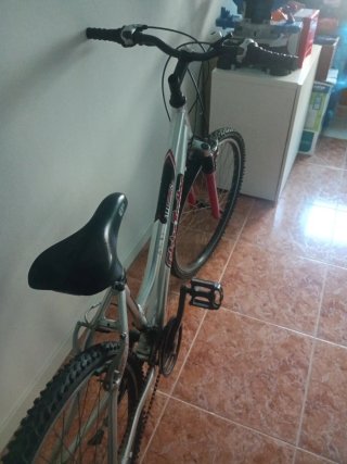 Bicicleta Globe Trotter
