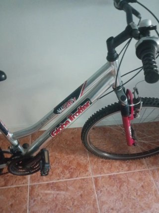 Bicicleta Globe Trotter