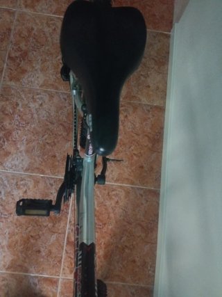 Bicicleta Globe Trotter