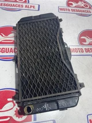 Radiador agua YAMAHA FZR 60092