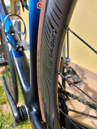 Arc 8 Escapee DB