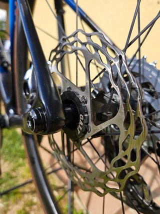 Arc 8 Escapee DB