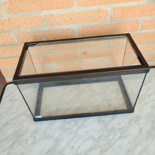 Acuario de Cristal Beta 25 Litros