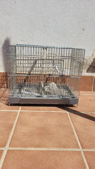3 gabbie zincate da allevamento 40 cm